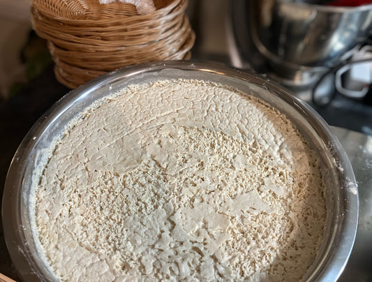 Gluten Free Sourdough Starter